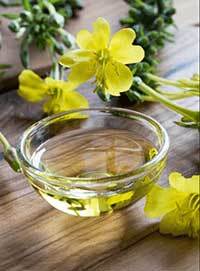 Evening Primrose in yalmeh super youth eye cream